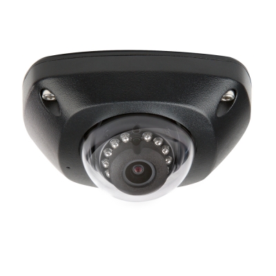 Luma Surveillance300 Series Mini Dome IP Outdoor Camera (pieza) Negro