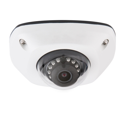 Luma Surveillance300 Series Mini Dome IP Outdoor Camera (pieza) Blanco