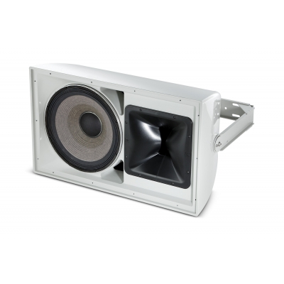 JBL Professional  AW Series High Power 2-Way All Weather Loudspeaker with 1 x 15