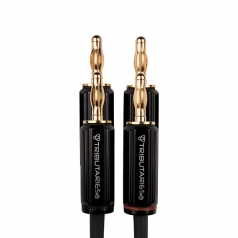 Cable para bocina Series 4 de 1.8 metros con conector banana
