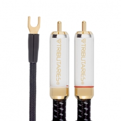 Cable Phono de tornamesa Series 8 MK II de 2 metros