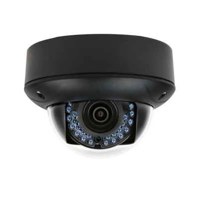 Luma Surveillance500 Series Dome IP Outdoor Camera (pieza) Negro