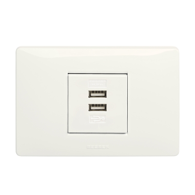 Master - Fuente de alimentación 2 tomas USB 5V 4A (pieza) Blanco