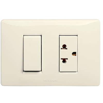 Master - Interruptor sencillo 1P 16A y Tomacorriente euroamericano (pieza) Marfil